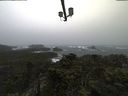 ./images/calvert/lookout/20211121/lookout20211121_112001.jpg