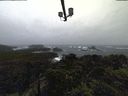 ./images/calvert/lookout/20211121/lookout20211121_155502.jpg