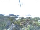./images/calvert/lookout/20220201/lookout20220201_080006.jpg