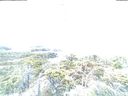 ./images/calvert/lookout/20220201/lookout20220201_080506.jpg