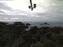 ./images/calvert/lookout/20220201/lookout20220201_143501.jpg