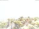 ./images/calvert/lookout/20220203/lookout20220203_081507.jpg