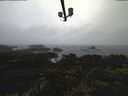 ./images/calvert/lookout/20220203/lookout20220203_151001.jpg
