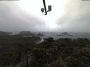 ./images/calvert/lookout/20220204/lookout20220204_084001.jpg