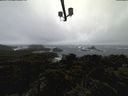 ./images/calvert/lookout/20220204/lookout20220204_120002.jpg