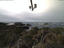 ./images/calvert/lookout/20220206/lookout20220206_100002.jpg