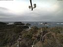 ./images/calvert/lookout/20220206/lookout20220206_105002.jpg