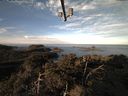 ./images/calvert/lookout/20220212/lookout20220212_084501.jpg