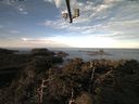 ./images/calvert/lookout/20220212/lookout20220212_085001.jpg