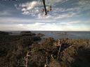 ./images/calvert/lookout/20220212/lookout20220212_092502.jpg
