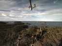 ./images/calvert/lookout/20220212/lookout20220212_101002.jpg