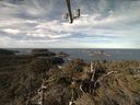 ./images/calvert/lookout/20220212/lookout20220212_102002.jpg
