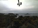 ./images/calvert/lookout/20220217/lookout20220217_090501.jpg