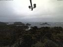 ./images/calvert/lookout/20220217/lookout20220217_091001.jpg