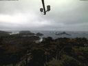 ./images/calvert/lookout/20220217/lookout20220217_091501.jpg