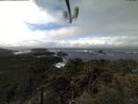 ./images/calvert/lookout/20220217/lookout20220217_120502.jpg