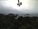 ./images/calvert/lookout/20220302/lookout20220302_104501.jpg