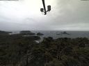 ./images/calvert/lookout/20220302/lookout20220302_111002.jpg