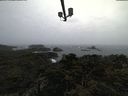 ./images/calvert/lookout/20220302/lookout20220302_113502.jpg