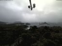 ./images/calvert/lookout/20220303/lookout20220303_100502.jpg