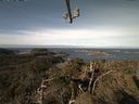 ./images/calvert/lookout/20220305/lookout20220305_094501.jpg