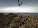 ./images/calvert/lookout/20220305/lookout20220305_101001.jpg