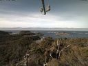 ./images/calvert/lookout/20220305/lookout20220305_102501.jpg
