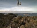 ./images/calvert/lookout/20220305/lookout20220305_105002.jpg