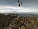 ./images/calvert/lookout/20220305/lookout20220305_111002.jpg