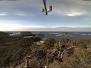 ./images/calvert/lookout/20220305/lookout20220305_115501.jpg