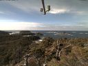 ./images/calvert/lookout/20220305/lookout20220305_120001.jpg