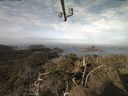 ./images/calvert/lookout/20220307/lookout20220307_093002.jpg