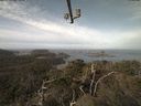 ./images/calvert/lookout/20220307/lookout20220307_095501.jpg