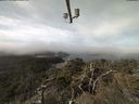./images/calvert/lookout/20220307/lookout20220307_110501.jpg