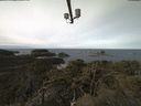 ./images/calvert/lookout/20220312/lookout20220312_100502.jpg