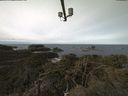 ./images/calvert/lookout/20220312/lookout20220312_101002.jpg