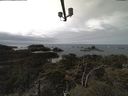 ./images/calvert/lookout/20220312/lookout20220312_131001.jpg