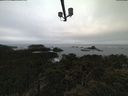 ./images/calvert/lookout/20220313/lookout20220313_085501.jpg