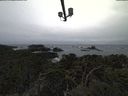 ./images/calvert/lookout/20220313/lookout20220313_121002.jpg