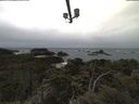 ./images/calvert/lookout/20220313/lookout20220313_141502.jpg