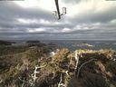 ./images/calvert/lookout/20220314/lookout20220314_090502.jpg