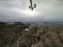./images/calvert/lookout/20220316/lookout20220316_105501.jpg