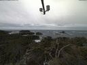 ./images/calvert/lookout/20220316/lookout20220316_111001.jpg