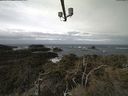 ./images/calvert/lookout/20220316/lookout20220316_114001.jpg