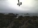./images/calvert/lookout/20220316/lookout20220316_154502.jpg