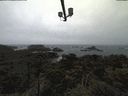 ./images/calvert/lookout/20220316/lookout20220316_170501.jpg