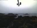 ./images/calvert/lookout/20220316/lookout20220316_195002.jpg