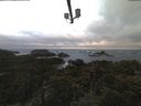 ./images/calvert/lookout/20220317/lookout20220317_082502.jpg
