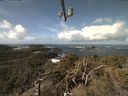 ./images/calvert/lookout/20220317/lookout20220317_115501.jpg