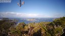 ./images/calvert/lookout/20220319/lookout20220319_095500M.jpg